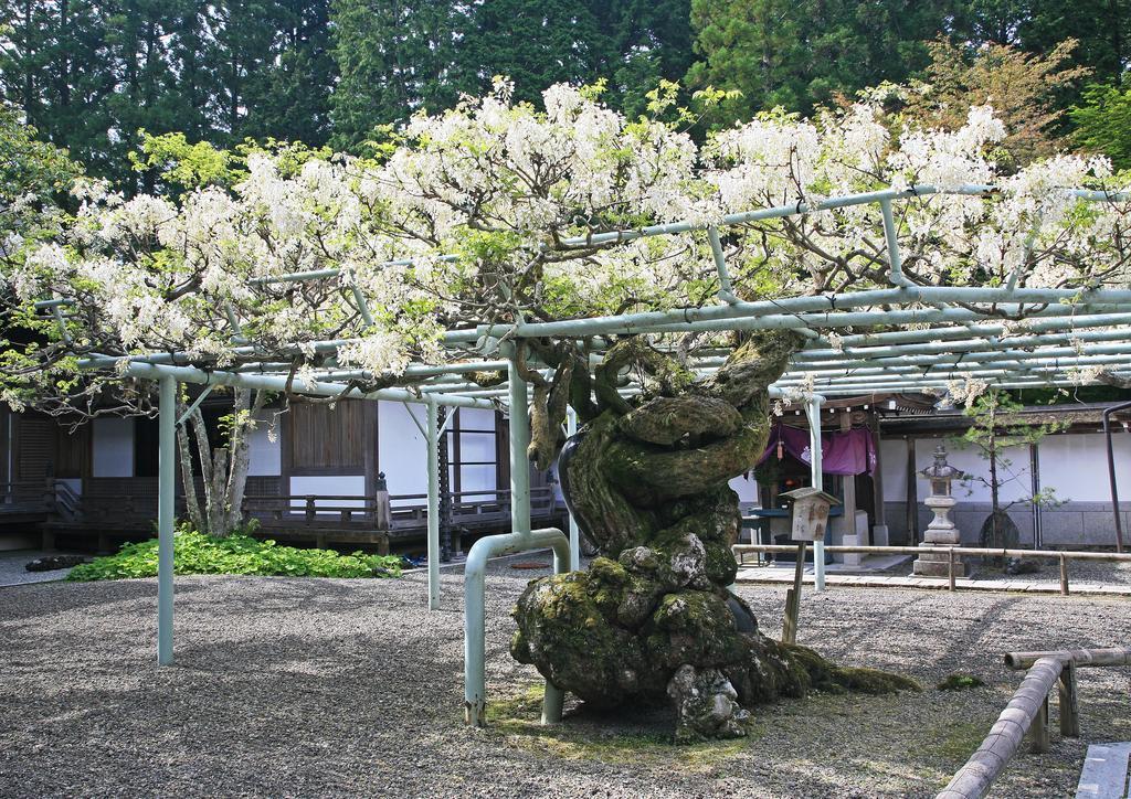 Sojiin Hotel Koyasan Buitenkant foto